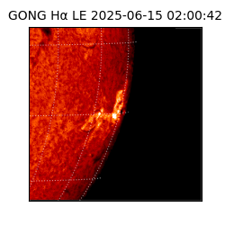 gong - 2025-06-15T02:00:42