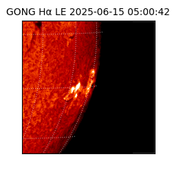 gong - 2025-06-15T05:00:42