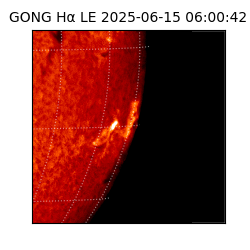 gong - 2025-06-15T06:00:42