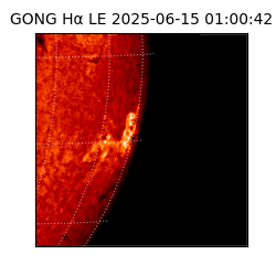 gong - 2025-06-15T01:00:42