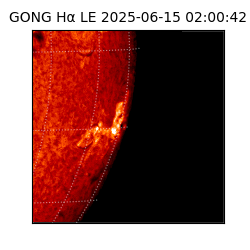 gong - 2025-06-15T02:00:42