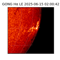 gong - 2025-06-15T02:00:42