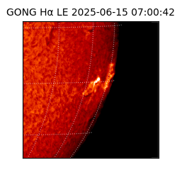 gong - 2025-06-15T07:00:42