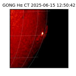 gong - 2025-06-15T12:50:42