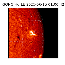 gong - 2025-06-15T01:00:42