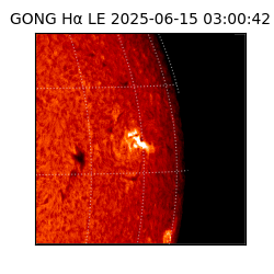 gong - 2025-06-15T03:00:42
