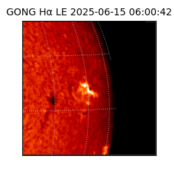 gong - 2025-06-15T06:00:42