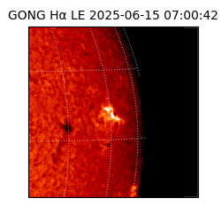 gong - 2025-06-15T07:00:42