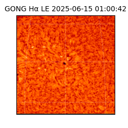 gong - 2025-06-15T01:00:42