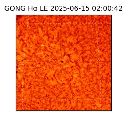 gong - 2025-06-15T02:00:42