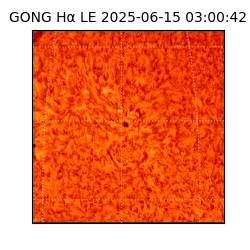 gong - 2025-06-15T03:00:42