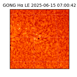 gong - 2025-06-15T07:00:42