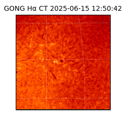 gong - 2025-06-15T12:50:42