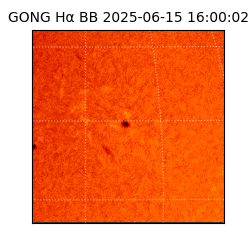 gong - 2025-06-15T16:00:02