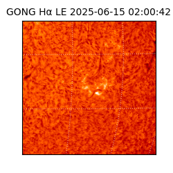 gong - 2025-06-15T02:00:42