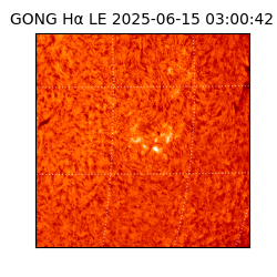 gong - 2025-06-15T03:00:42