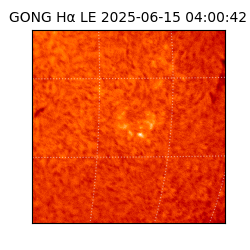 gong - 2025-06-15T04:00:42