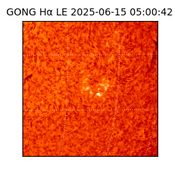gong - 2025-06-15T05:00:42