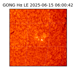 gong - 2025-06-15T06:00:42