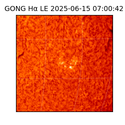 gong - 2025-06-15T07:00:42