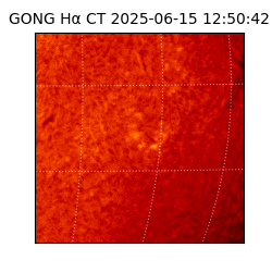 gong - 2025-06-15T12:50:42