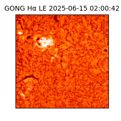 gong - 2025-06-15T02:00:42