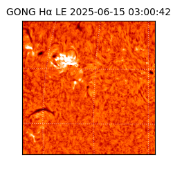 gong - 2025-06-15T03:00:42