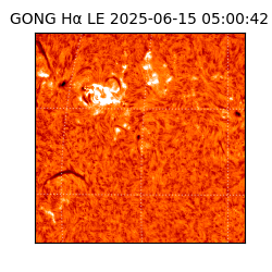 gong - 2025-06-15T05:00:42