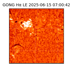 gong - 2025-06-15T07:00:42