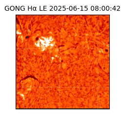 gong - 2025-06-15T08:00:42