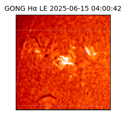 gong - 2025-06-15T04:00:42