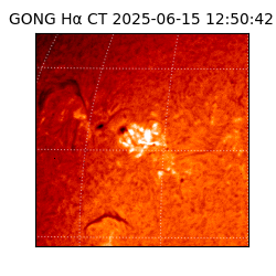 gong - 2025-06-15T12:50:42