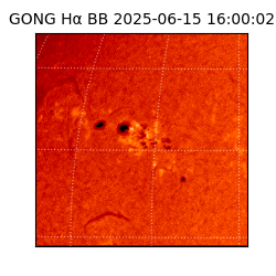 gong - 2025-06-15T16:00:02
