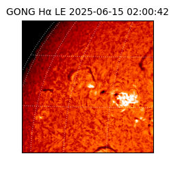 gong - 2025-06-15T02:00:42