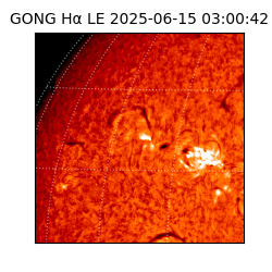 gong - 2025-06-15T03:00:42