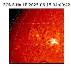 gong - 2025-06-15T04:00:42