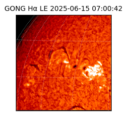 gong - 2025-06-15T07:00:42