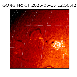gong - 2025-06-15T12:50:42