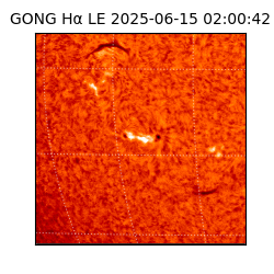 gong - 2025-06-15T02:00:42