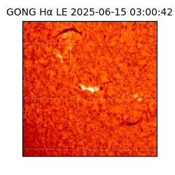 gong - 2025-06-15T03:00:42
