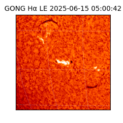 gong - 2025-06-15T05:00:42