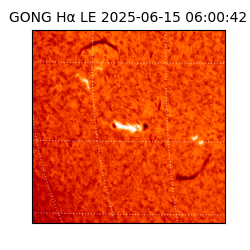 gong - 2025-06-15T06:00:42