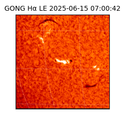 gong - 2025-06-15T07:00:42