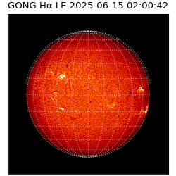 gong - 2025-06-15T02:00:42