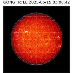 gong - 2025-06-15T03:00:42
