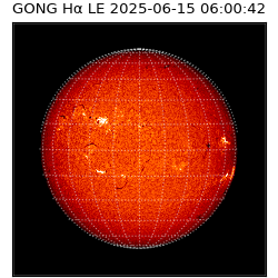 gong - 2025-06-15T06:00:42