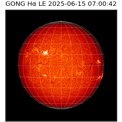 gong - 2025-06-15T07:00:42