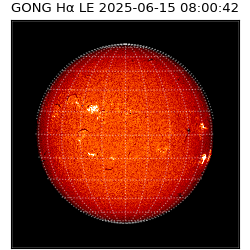 gong - 2025-06-15T08:00:42