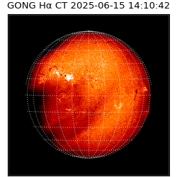 gong - 2025-06-15T14:10:42