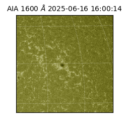saia - 2025-06-16T16:00:14.126000